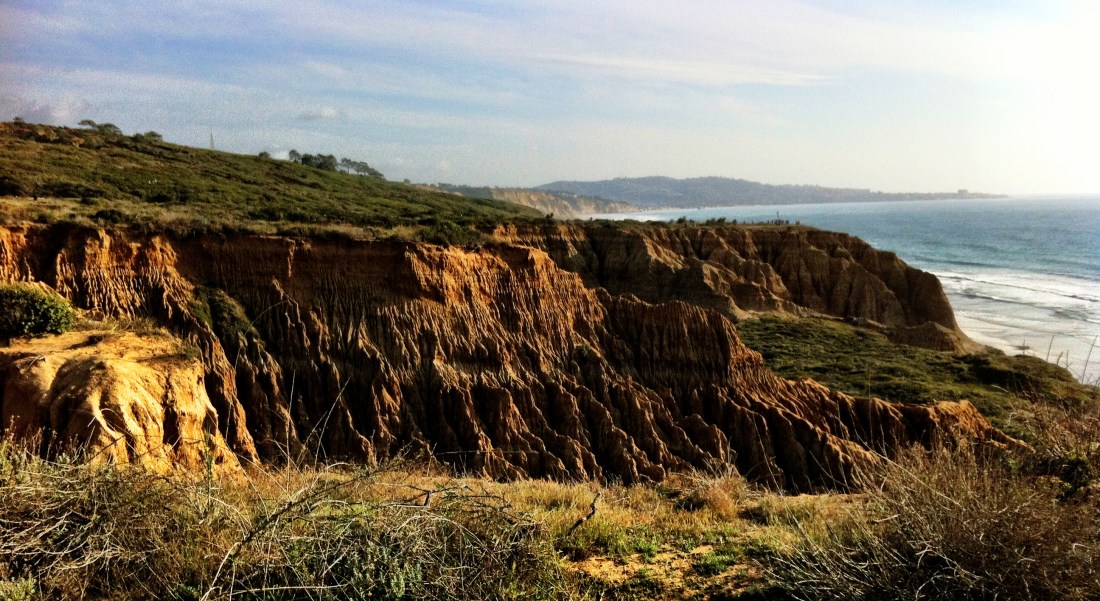Torrey Pines Cliffs 2