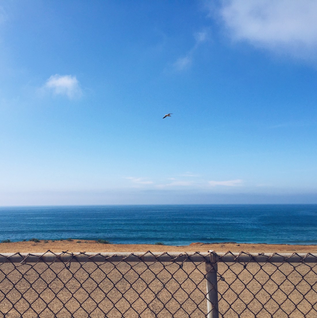 Processed with VSCOcam with a5 preset