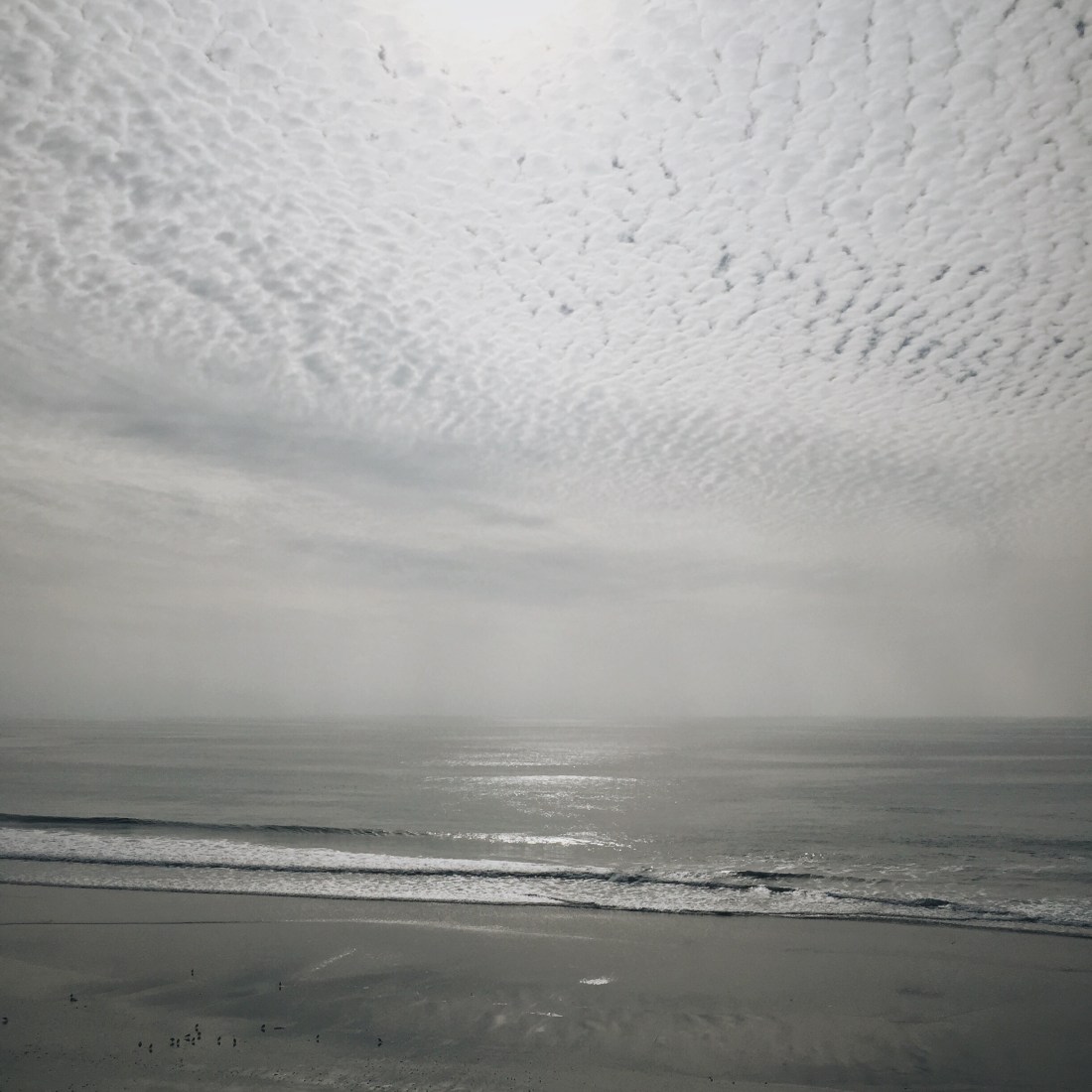 Processed with VSCOcam with a6 preset