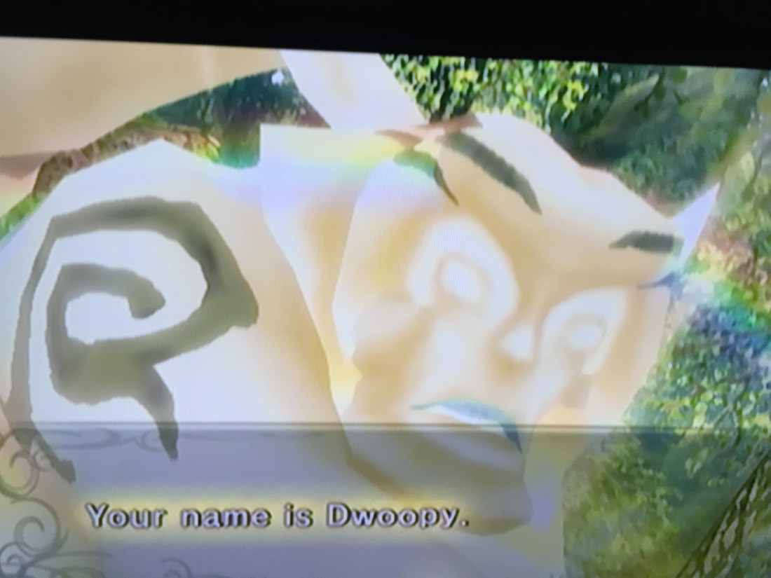 Zelda Dwoopy - 1