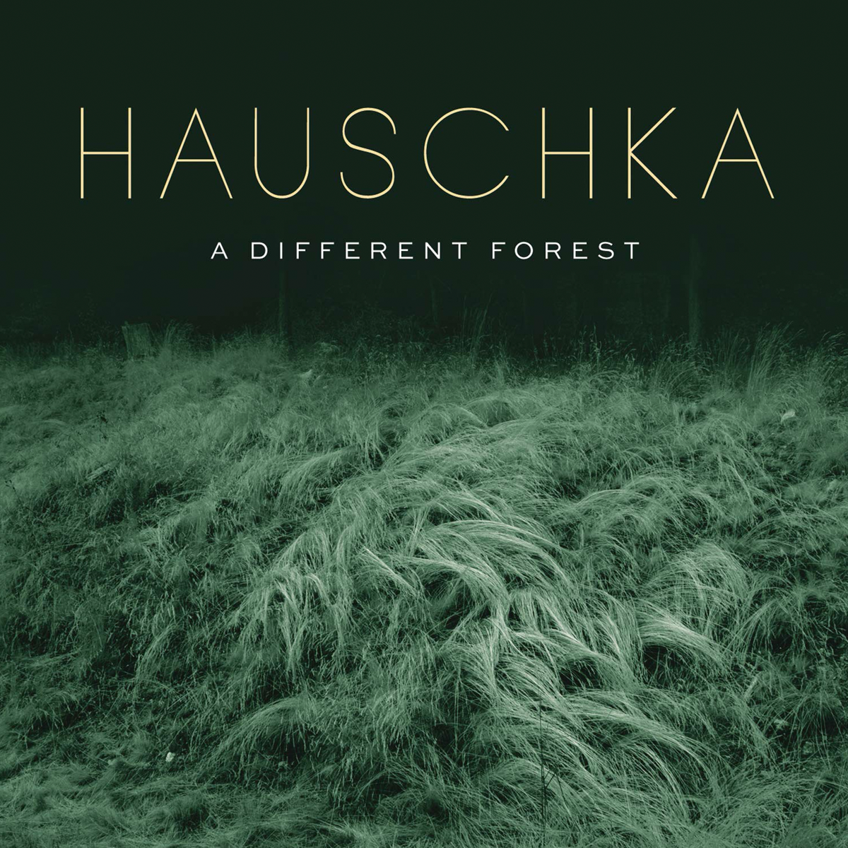 6 Hauschka