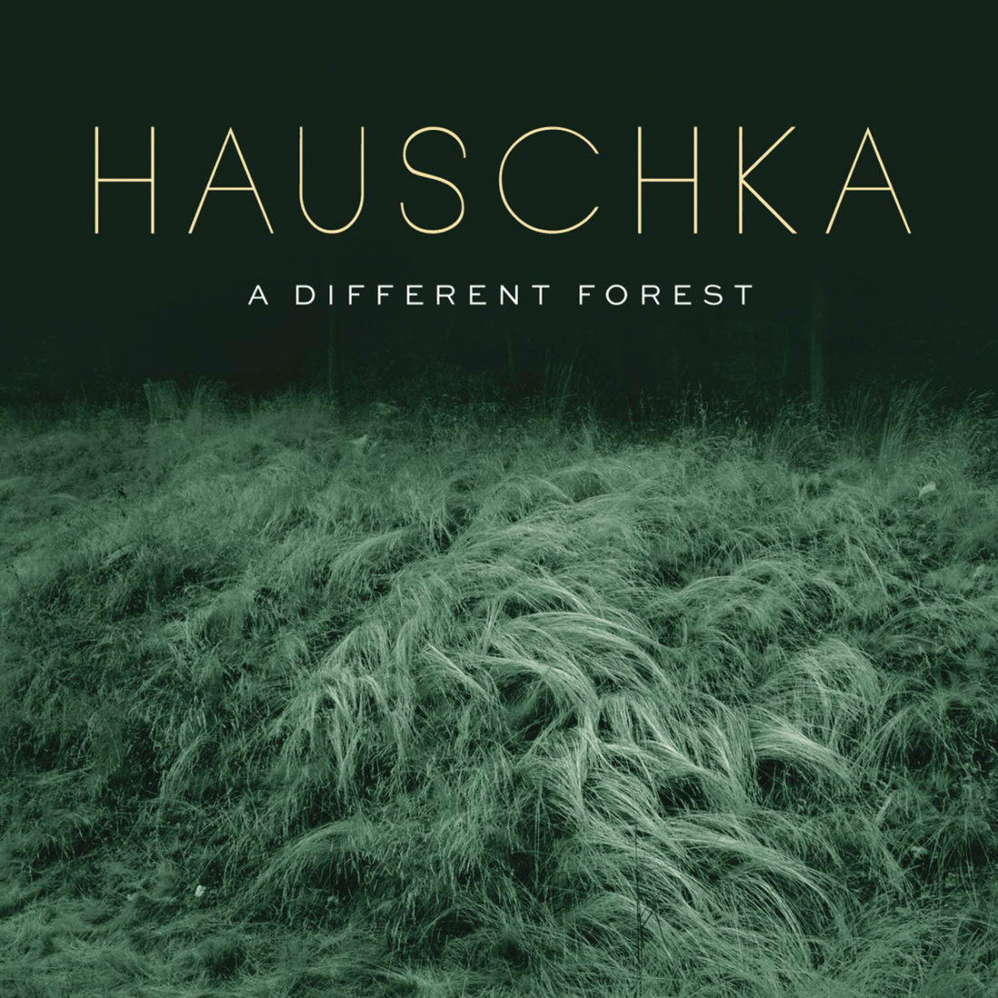 6 Hauschka
